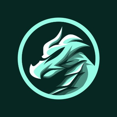 HyperFlip Logo